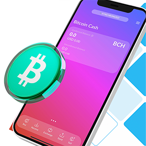 BCH Bitcoin Cash now in Cake Wallet 4.10.1